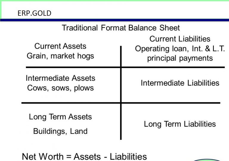 What are the Parts of a Balance Sheet? - ERP Gold