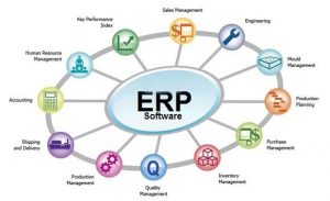 How an ERP Works?