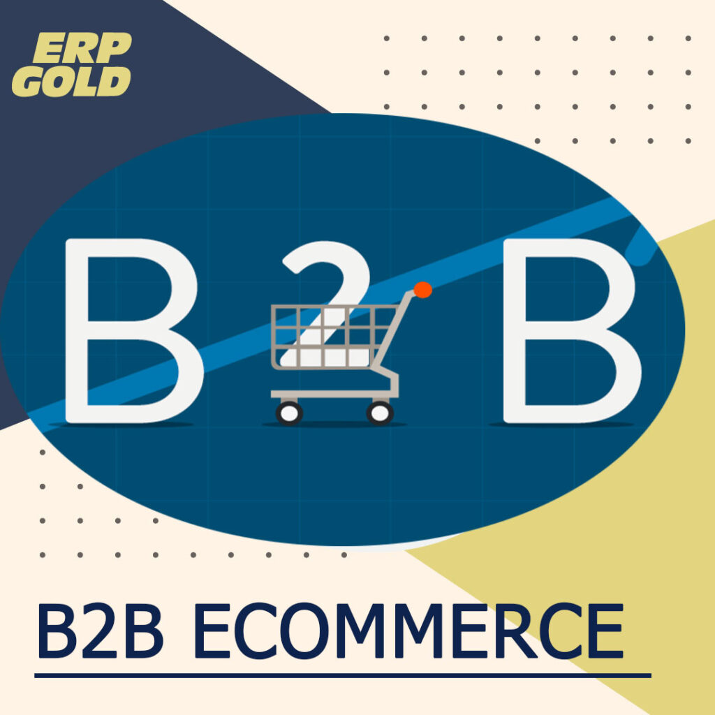 ecommerce erp